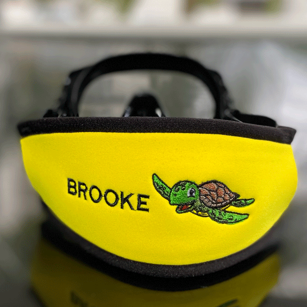 Turtle mask