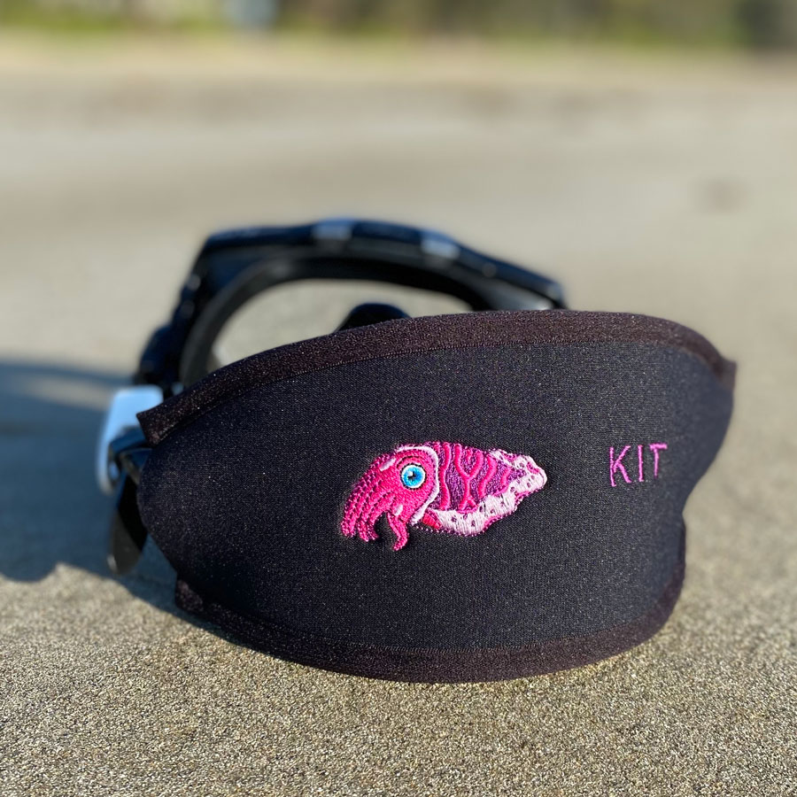 Cuttlefish on a Beautiful Scuba Mask Cover