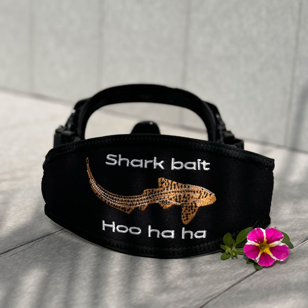 Leopard Shark
