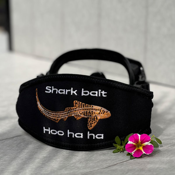 Leopard Shark