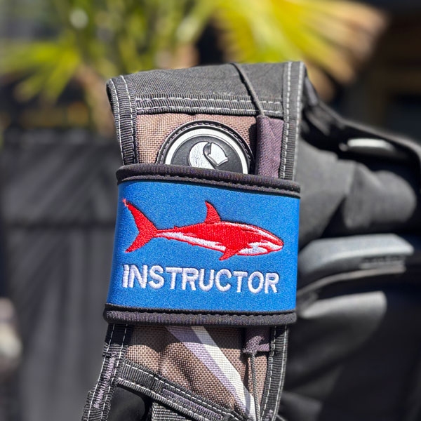 BCD strap with shark