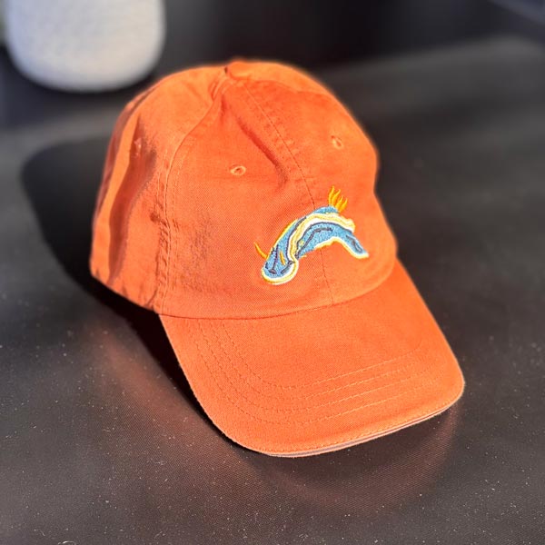 SCUBA CAP