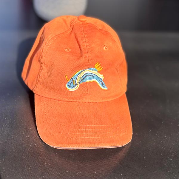 SCUBA CAP