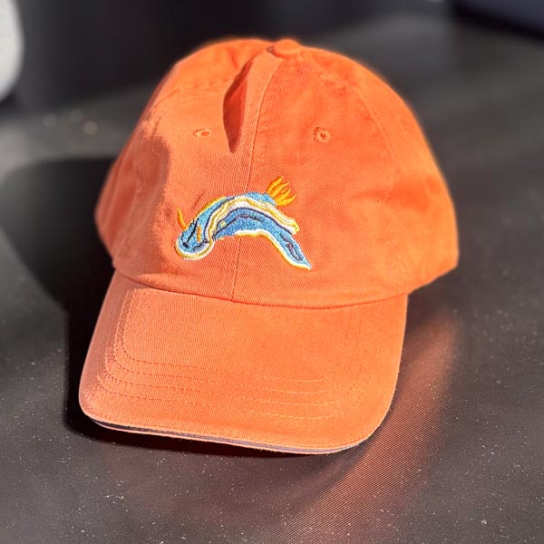 SCUBA CAP