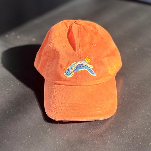 SCUBA CAP
