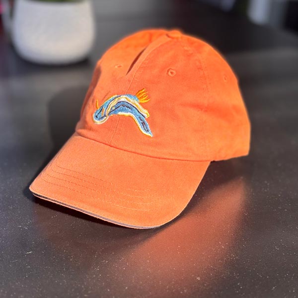 SCUBA CAP