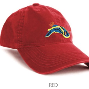 SCUBA CAP
