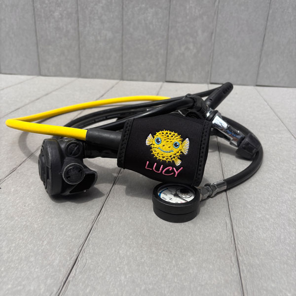 Regulator Cover