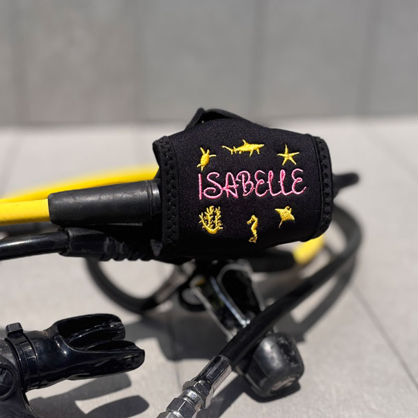 Regulator Cover