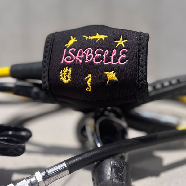 Regulator Cover