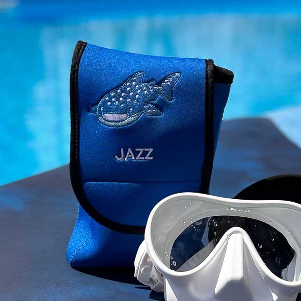 Best SCUBA mask bag