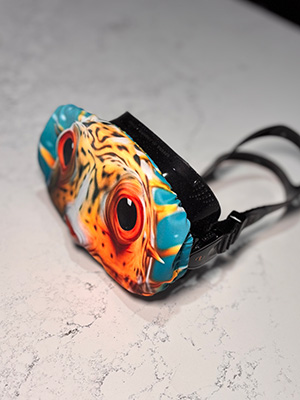 mask-cover-300x400 mask cover